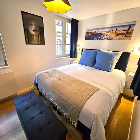 Magnifique T2-chez Francois- Centre Historique- Parking Et Balcon Privatif Colmar
