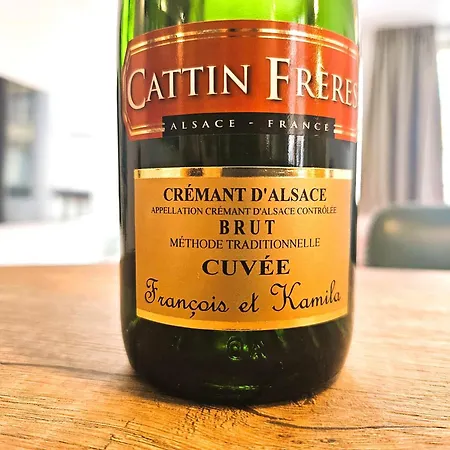 Magnifique T2-chez François Et Kamila - Centre Historique- Parking Privé 50m De L'appartement- Balcon Avec Vue * Colmar