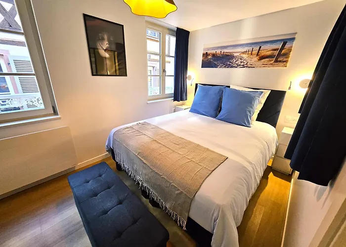 Magnifique T2-chez Francois Et Kamila - Centre Historique- Parking Prive 50m De L'appartement- Balcon Avec Vue Colmar