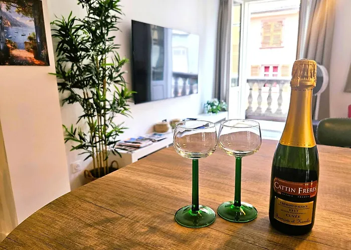 Magnifique T2-chez Francois Et Kamila - Centre Historique- Parking Prive 50m De L'appartement- Balcon Avec Vue Apartmán